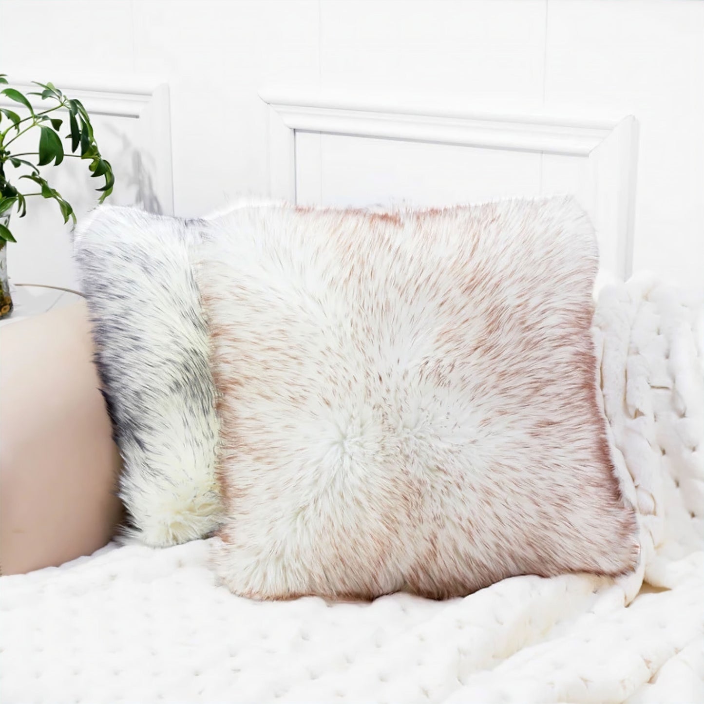 Alexandre Cushion Cover
